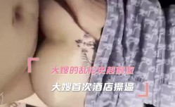 家庭乱luan伦-大嫂首次酒jiu店 *** 