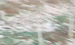 小树林里的龌龊事，老大爷被 *** 勾引活都不干了，尝试了一下什么叫口口，这 *** 还能硬跟小哥玩起了 *** 带劲