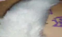 双马尾萌妹mei子跪着玩弄第官网三部  *** 上写字肛塞插菊花跳蛋震动来姨妈了 很是诱惑喜欢不要错过