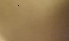 12.1891新片！【真实探花 *** mei】
