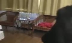 酒jiu店捉奸现场，和平谈判呵XXX🅲🅷🅴🅽🅶-🆁🅴🅽女的还颜值ok 骨感类型 看脸蛋就是个骚娘们！